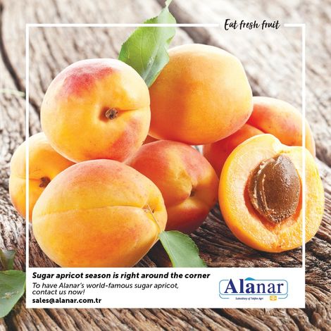 Alanar Fruit