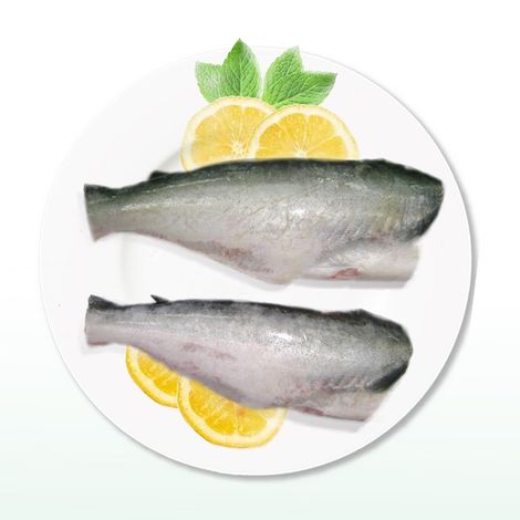 Truong Giang Fishery Holdings Corporation