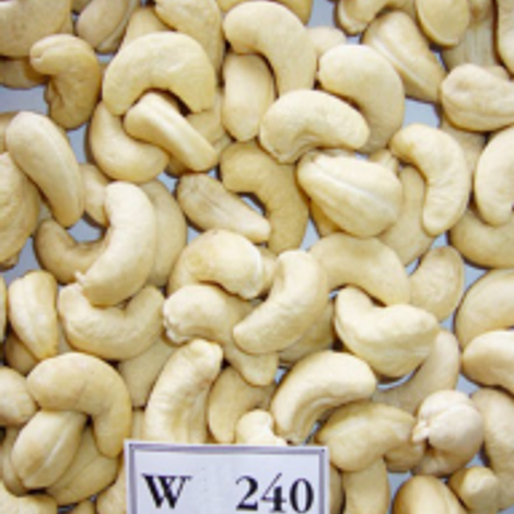 nhan-dieu-song-xuat-khau-w240-devica-192x215.png