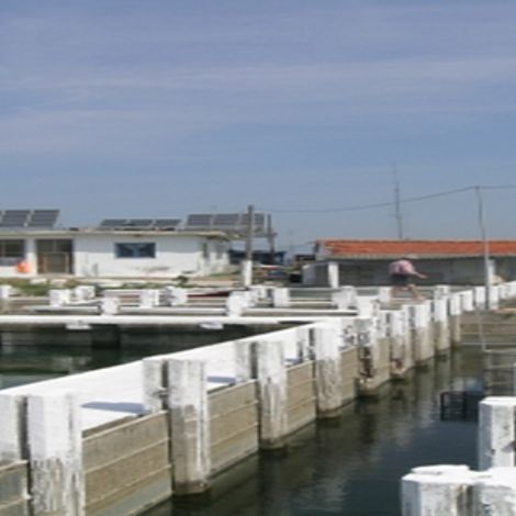 banner03new.jpg
