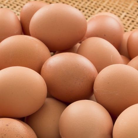 Kiepersol Eggs - Products
