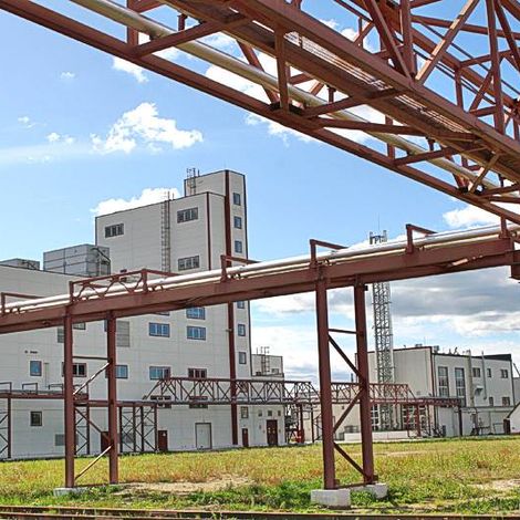 LLC Corporation Soyuz - Plant