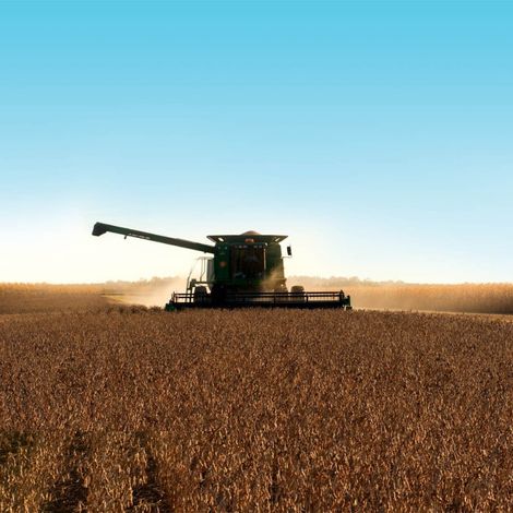 Semences Prograin Inc. - Soybean Field