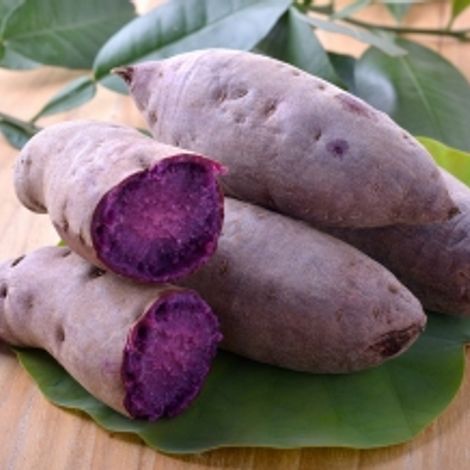Vita Fruit Enterprise - Product
