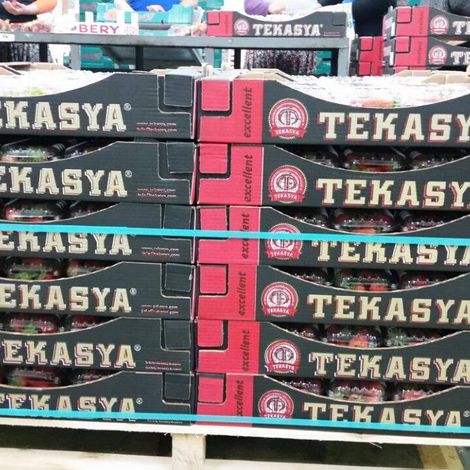 Tekasya Agricultural Products - Products