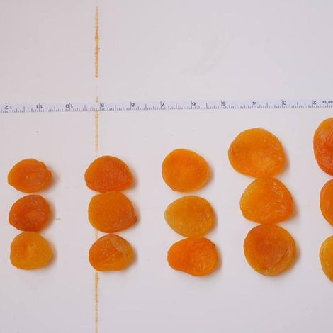 Dried Apricots