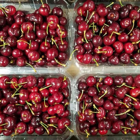 Morada Produce - Product