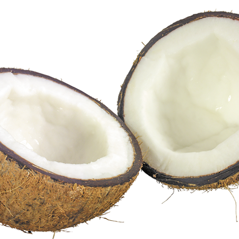 coconut.png