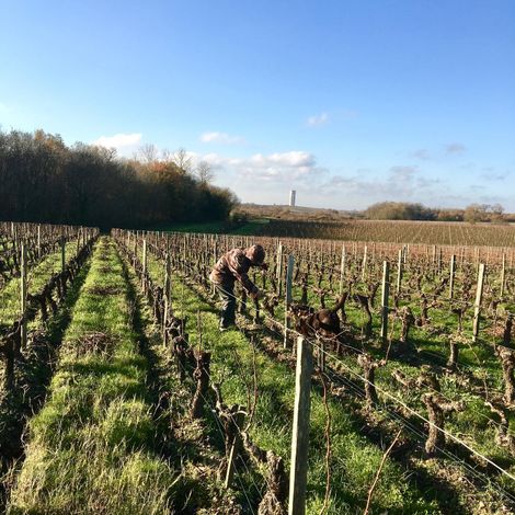 Château Charmail_Wine_Vineyard