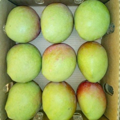 Mango