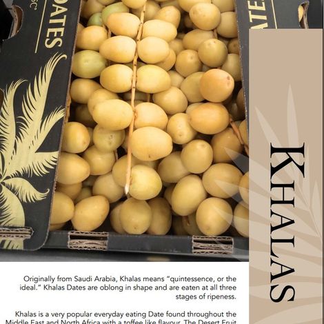 Khalas brochure