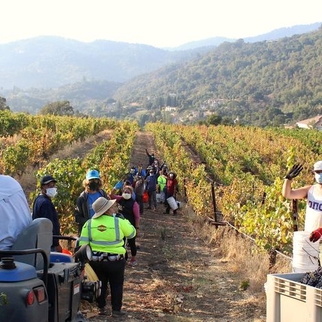 Cooper-Garrod Estate Vineyards