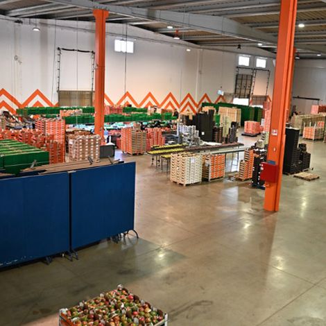 Sweet Fruits Comercio Atacadista, Importacao E Exportacao De Frutas LTDA - Facility