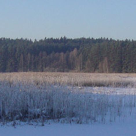 Gospodarstwo Rybackie "Bartołty Wielkie" Piotr Fenicki