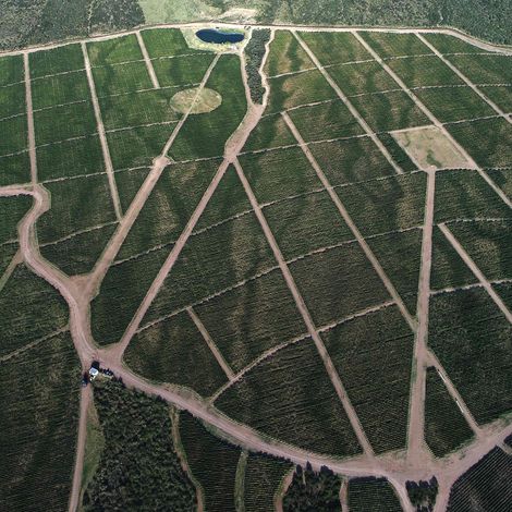 All roads lead to Alto Agrelo. A region of Lujan de Cuyo blessed for wine production, located at the foot of the Andes Mountains