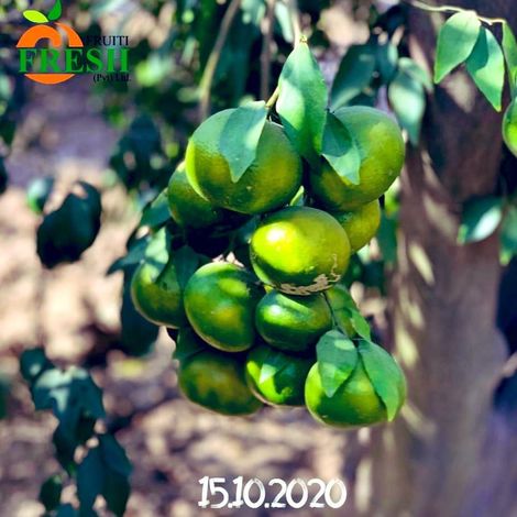Fruiti Fresh Pvt Ltd.