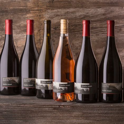 Waist-Mast 2015 Pinot Noir Wines