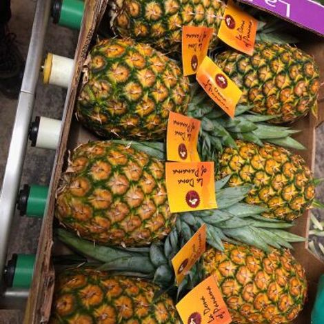 High Colour premium fruit