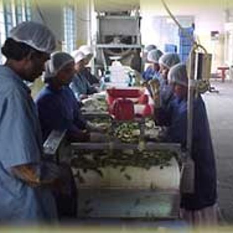 Koeleman India Pvt Ltd - Facility