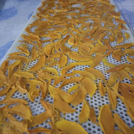 Mango Drying Facility