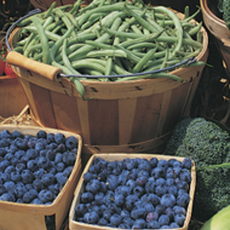Lagoner Farms, Inc.