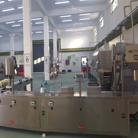 Haseki Zeytin Kozmetik Temizlik Tarim Gida Pazarlama Sanayi Ve Ticaret Limited Sirketi