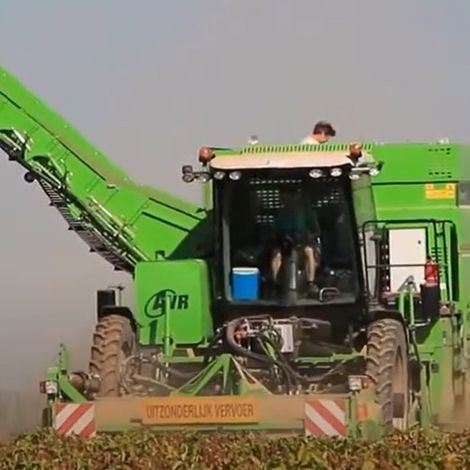 Tack agri - Plantation