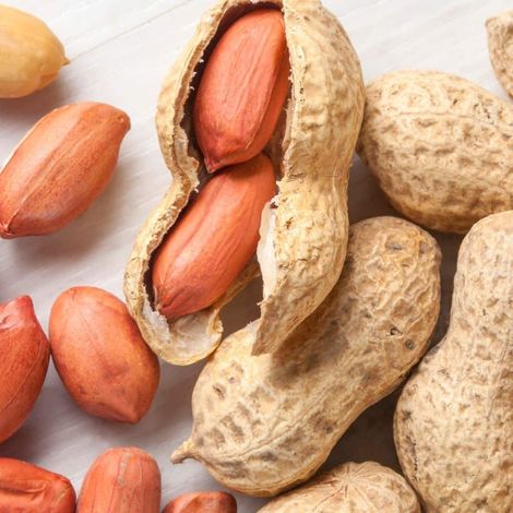 peanut-substitute-sq.jpg
