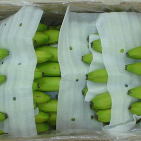 Packaged Banana in 13kg box