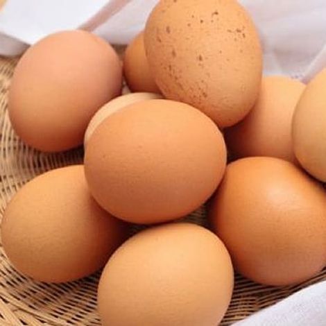 Organic Eggs