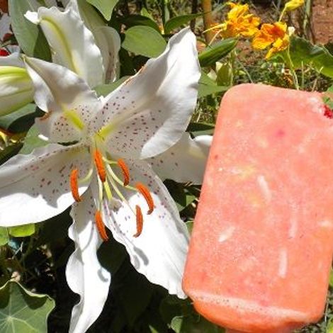 Natural Fruit Corp.