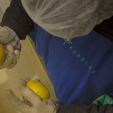 ARBOLAR CITRUS S.A.