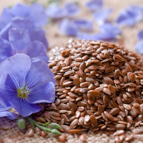 Flax seeds from Russia