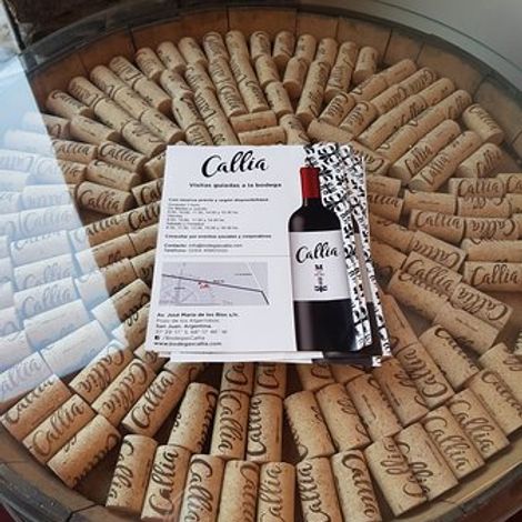 Bodegas Callia