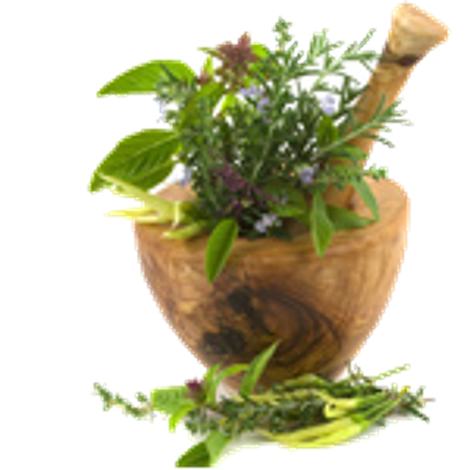 Zymex Industries, Inc