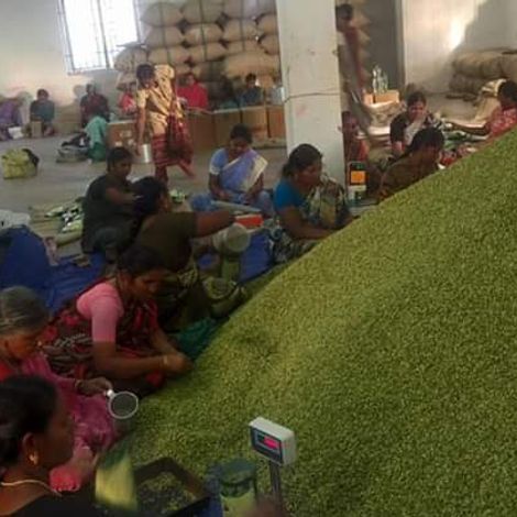 Warehouse processing - manual