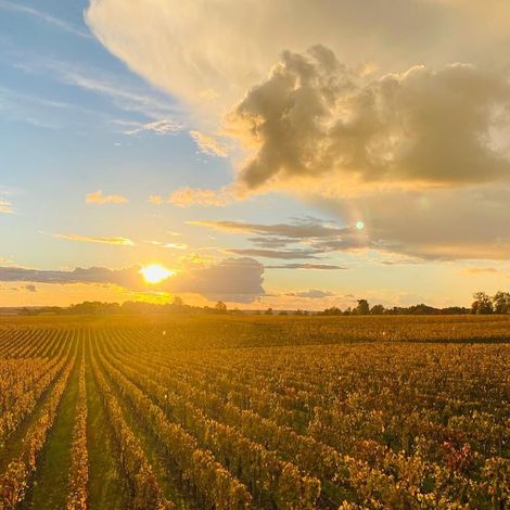 Beautiful autumn sunset over the vineyards of Destieux