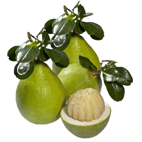 Huong Buoi My Hoa Trading One Member Company Limited - Pomelo