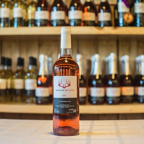 Domaine Bel-Chas_Domaine Bel-Chas Rosé_Rose Wine