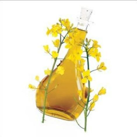 Rapeseed Oil