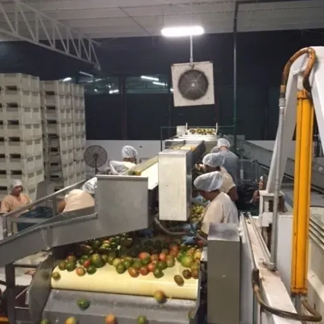 Production