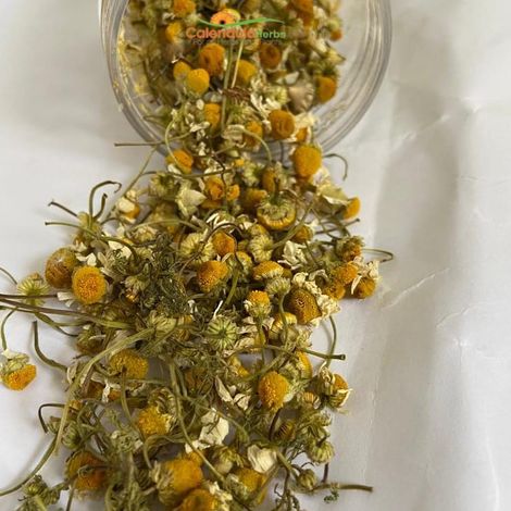 Chamomile