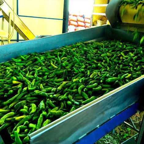Peper S.A.