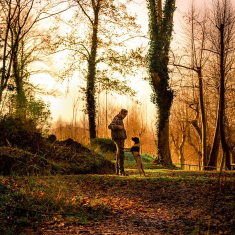 Truffle hunting