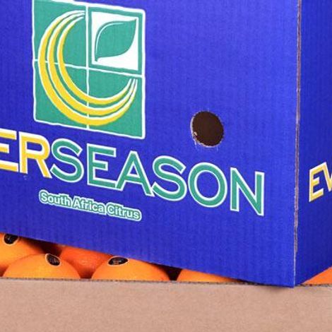 Everseason