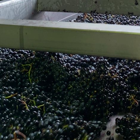 Château La Grâce Dieu_Wine_Process1