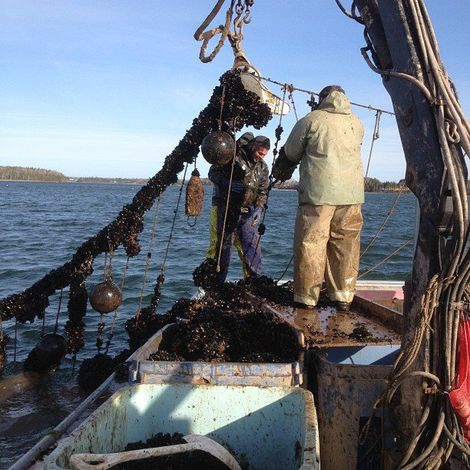 W&R Fisheries - PEI Coastline Shellfish - Vessel