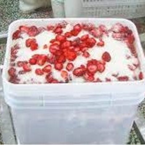 (4 + 1) Egyptian Strawberry
