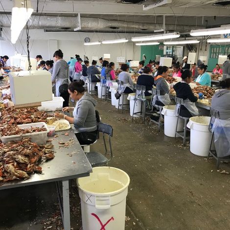 Russell Hall Seafood, Inc.