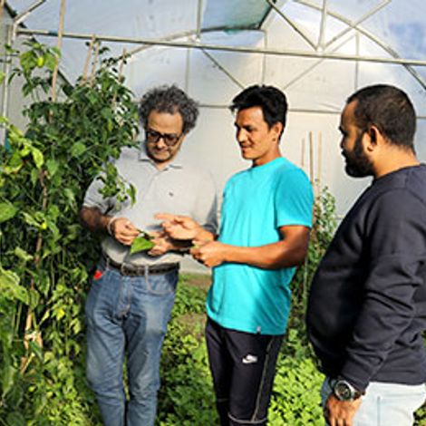 Aricha Trading Co Ltd